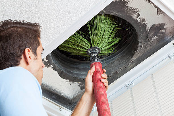 Best Affordable Duct Cleaning Services  in Clifton, IL